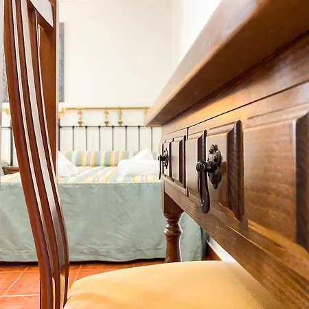 Leones Berlanga de Duero