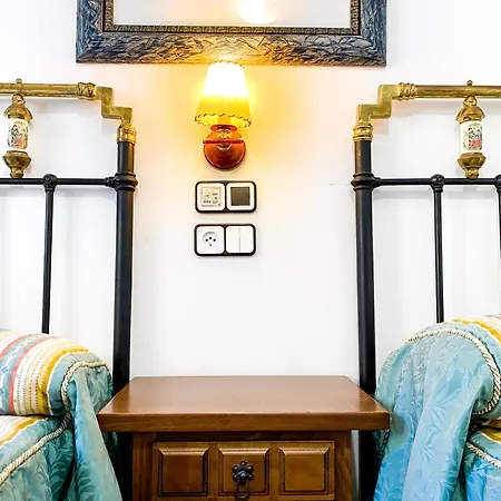 Leones Berlanga de Duero